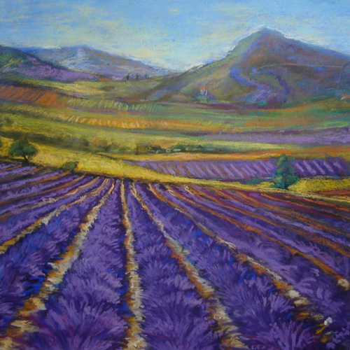 Lavender Fields II